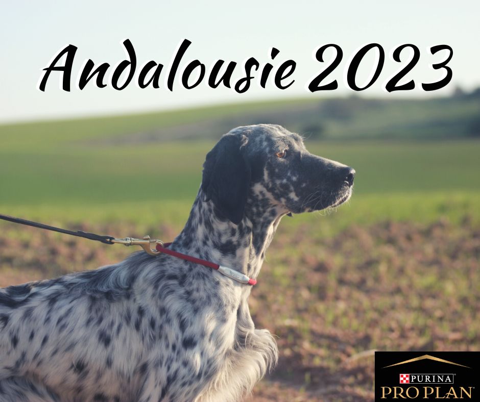 Entrainement Andalousie 2023